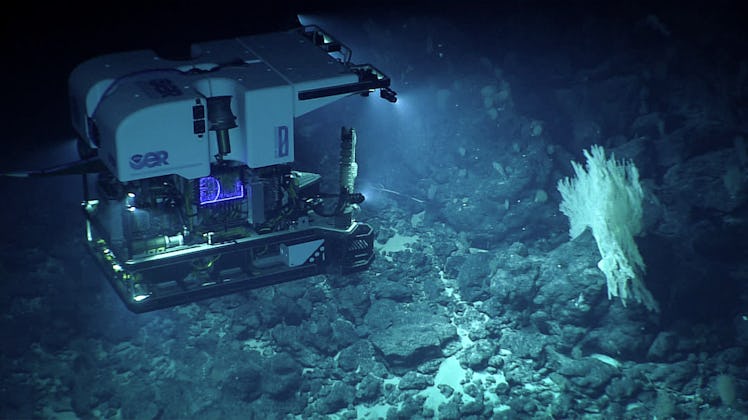 NOAA ROV Deep Discoverer