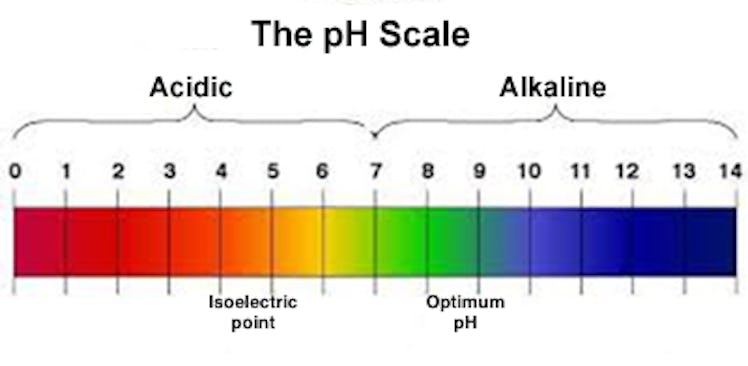 pH scale