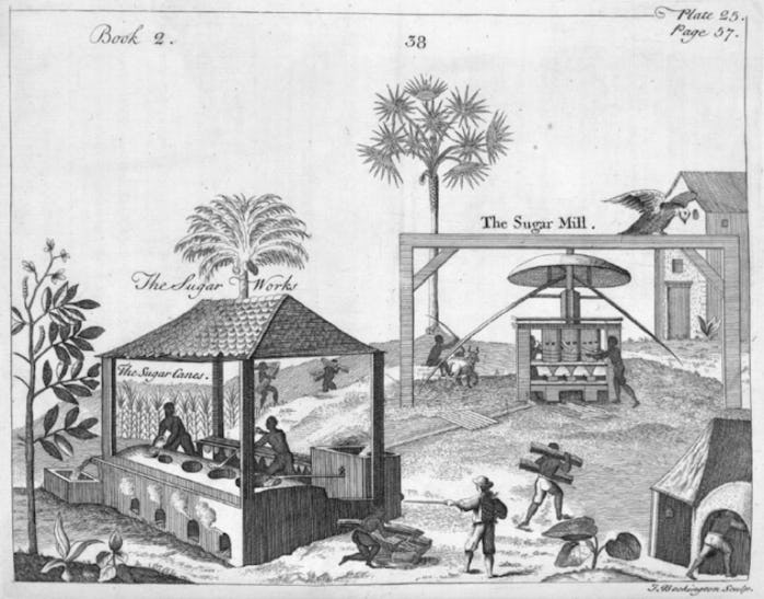 Slaves Were the First to Suffer Through Medical Experiments