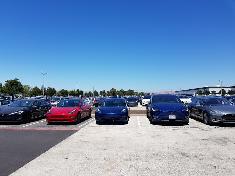 Tesla cars lined up outside the factory.