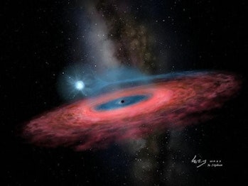 An artist's interpretation of the LB-1 black hole and companion star.