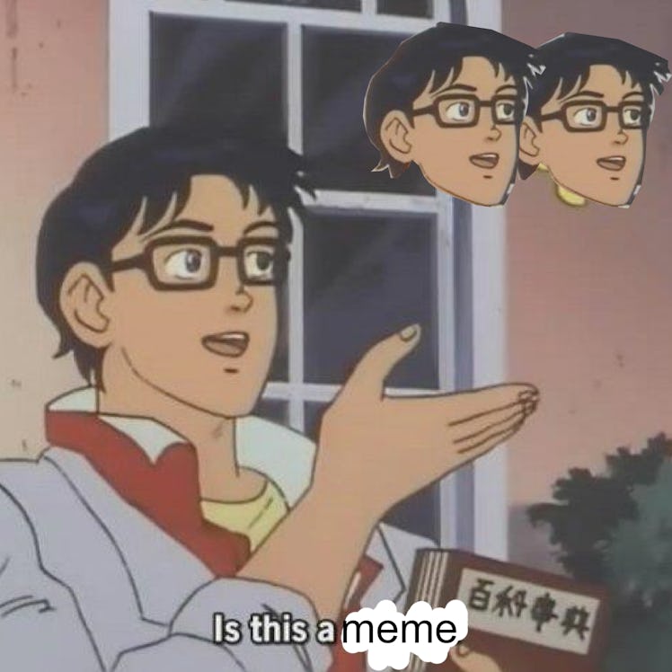 meta pigeon meme