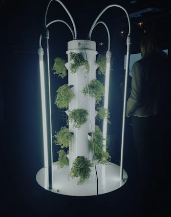 Aeroponics Why Vertical Towers Are The Waterless Future Of Urban Farming Aeroponics Why Vertical Towers Are The Waterless Future Of Urban Farming