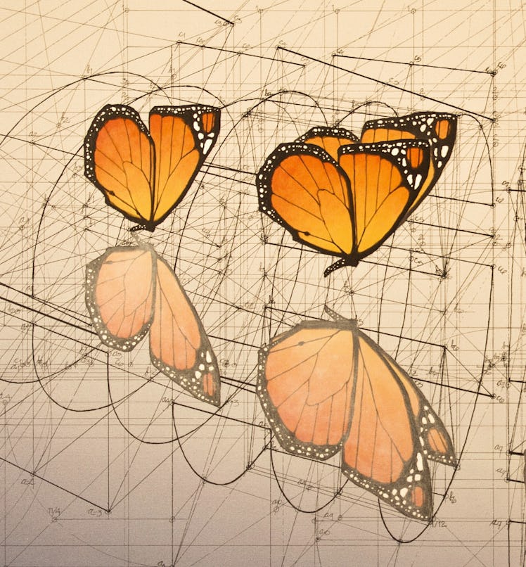 Water mirror reflection illustration with two orange butterflies