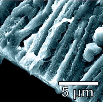 Lithium metal coats the hybrid graphene 