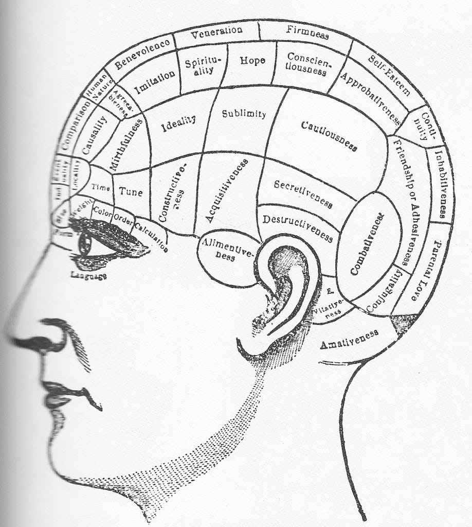 Scientists Argue We Should Reconsider Our Quest To Map The Brain   Phrenology Mapped The Brain Horribly 