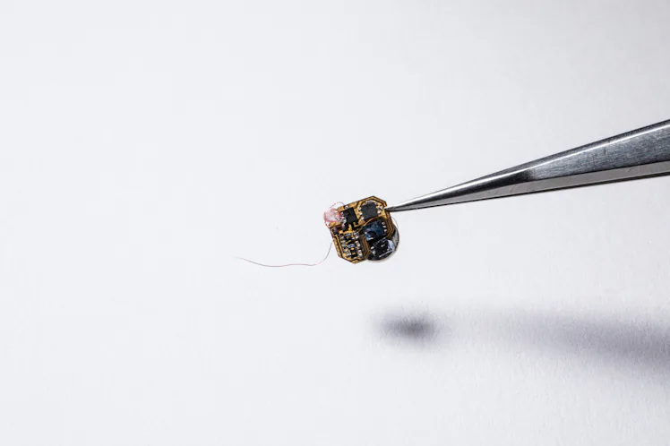 How Cute, Sensor-Filled Backpacks for Bees Can Help Feed the Planet: Video