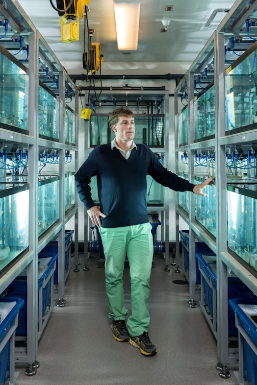 Todd Streelman stands among tanks of cichlids.