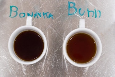Coffee brewed in the Bonavita was delicious and well-rounded, whereas coffee from the Bunn was visib...