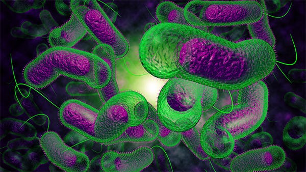 Vibrio Vulnificus: Infection Is Happening In Unlikely American Locations