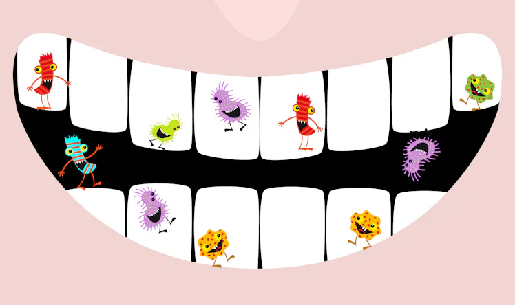 Bussel Teeth Brushing your teeth this many times per day could save your life