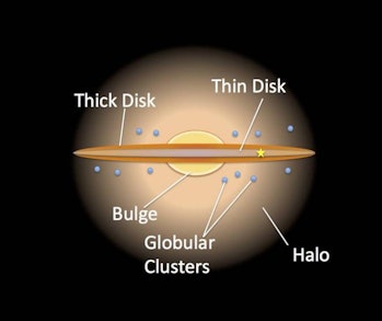 An artist's impression of the Milky Way's thin and thick disc.
