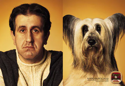 people look like their dogs