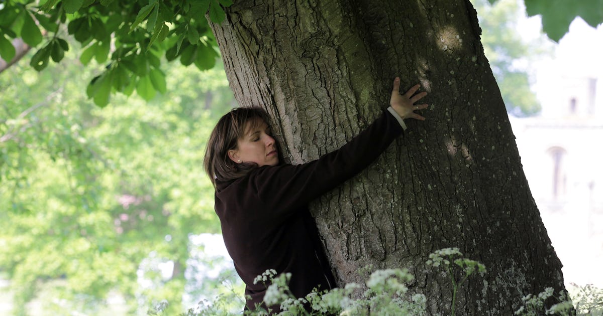50 Sexual Fetishes And Kinks You May Have Never Have Heard Of Stay At Home Mum When Tree Hugging Leads to Heavy Petting: An Introduction to Dendrophilia