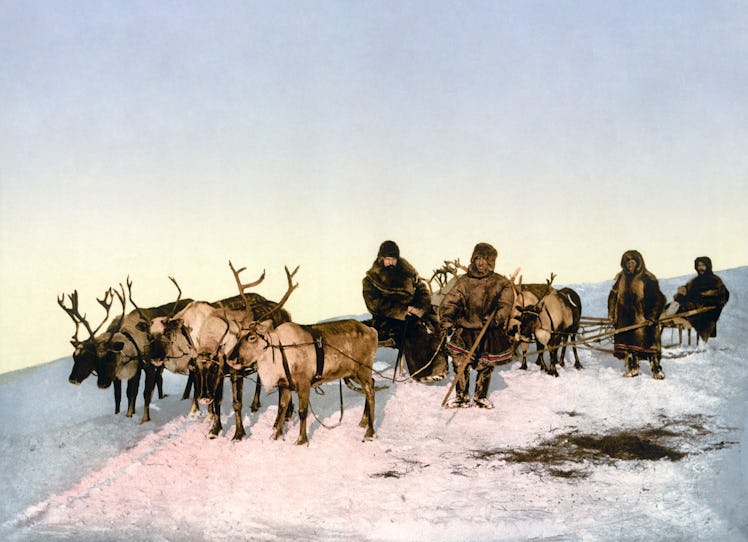 reindeer sled Russia