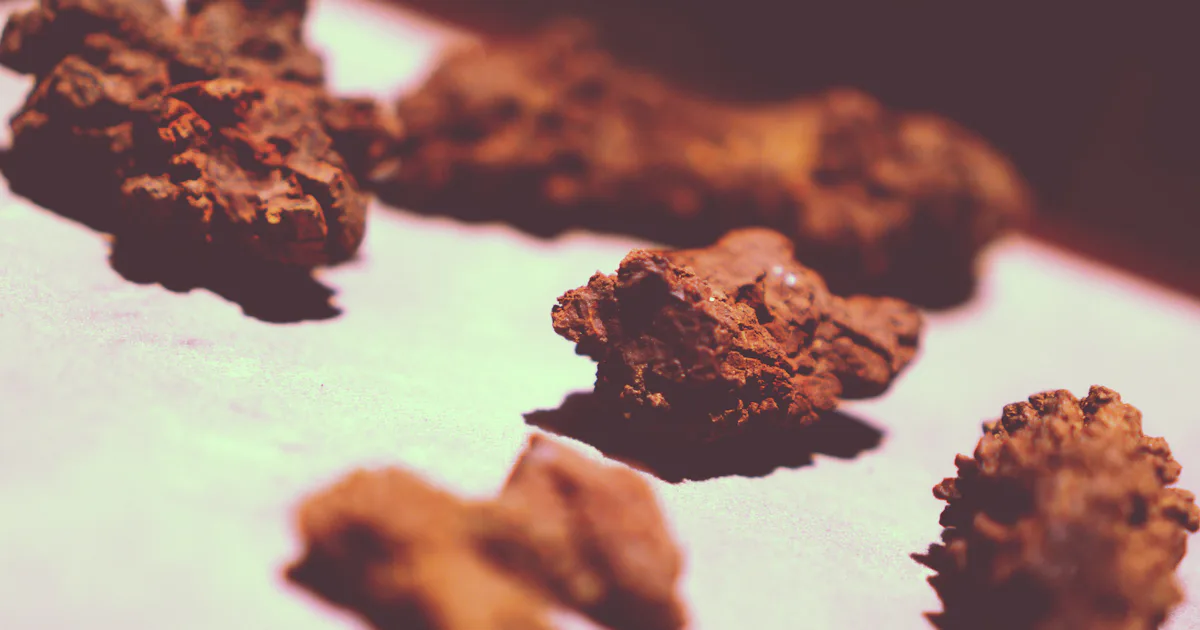 Extinct Poop A Particle Accelerator Analyzed Fossilized Dinosaur Poop