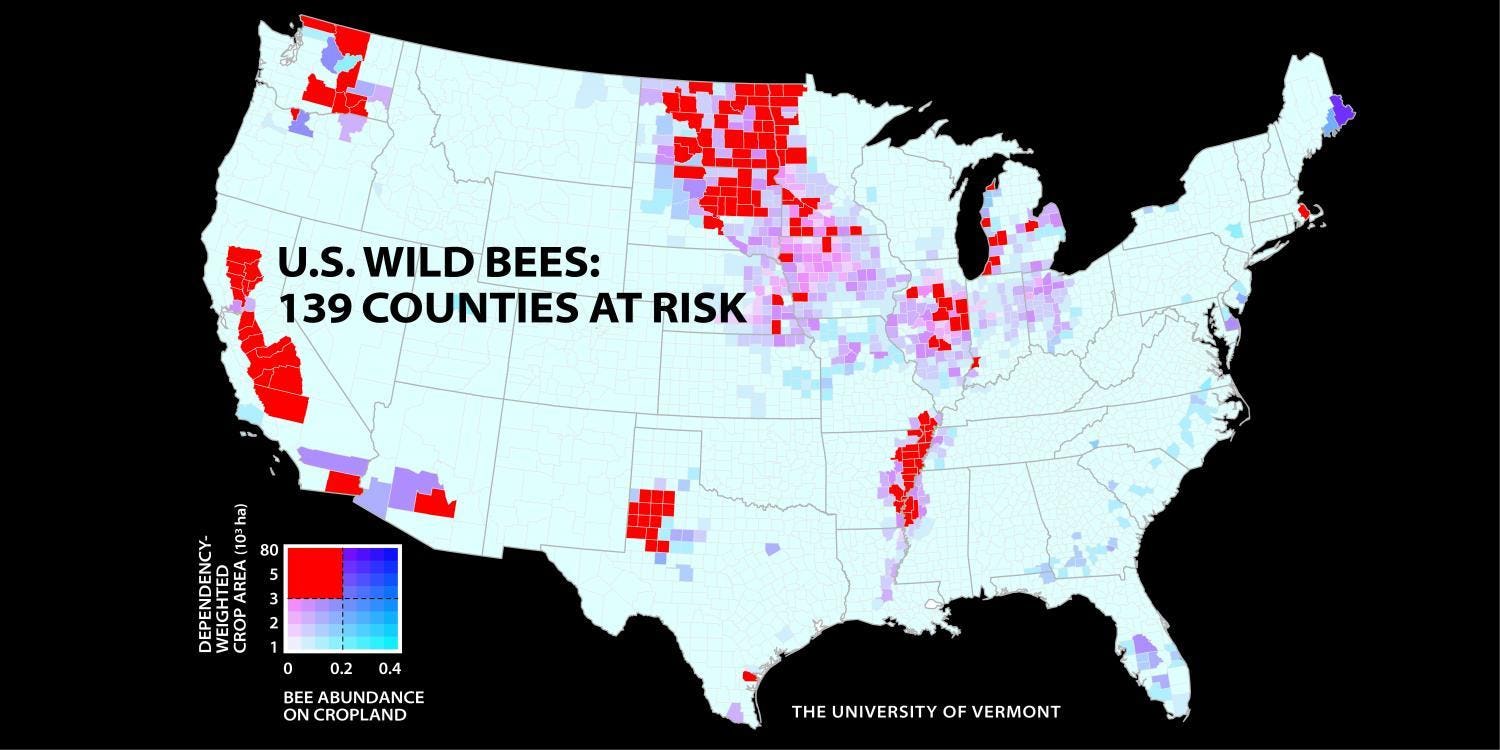 These Maps Show How Bad It's for U.S. Bees