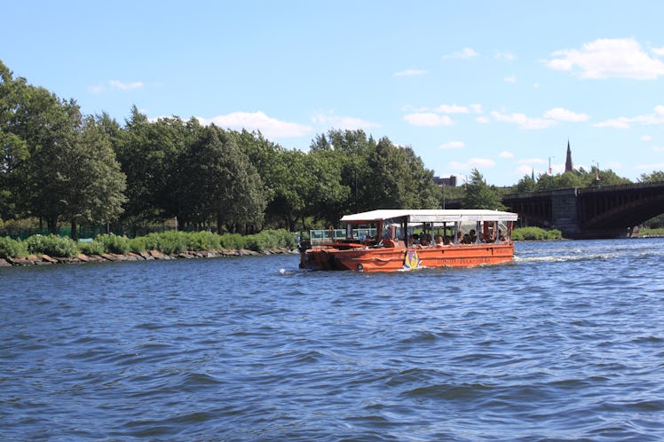 duck boat tour 