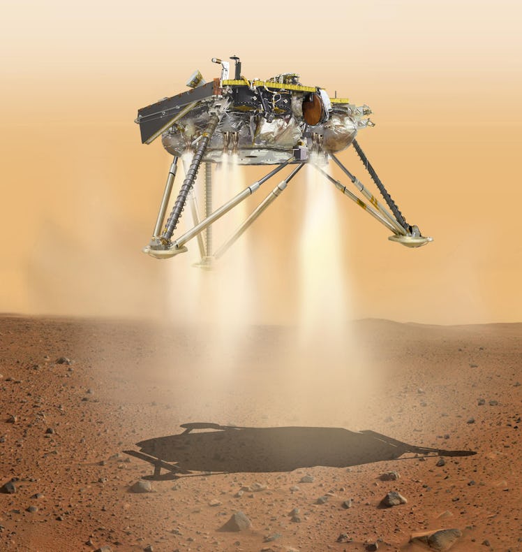 insight landing