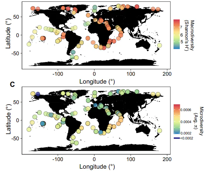 200,000 Ocean Viruses: Study Shows 10-Fold Increase Over Previous Estimates