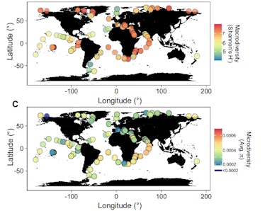 viral populations