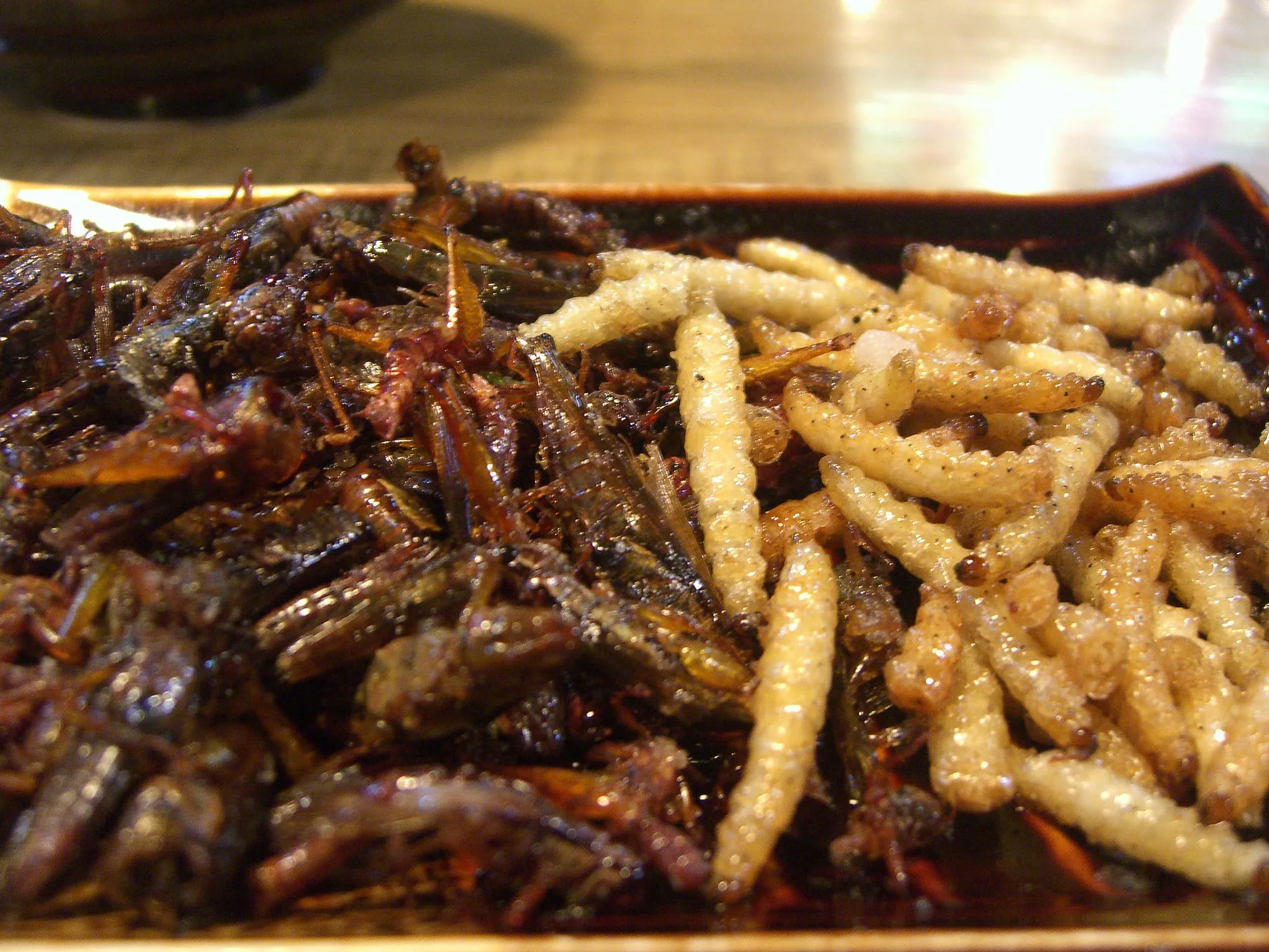 Future Food: Here Are the Tastiest Ways to Cook Up Crunchy Critters