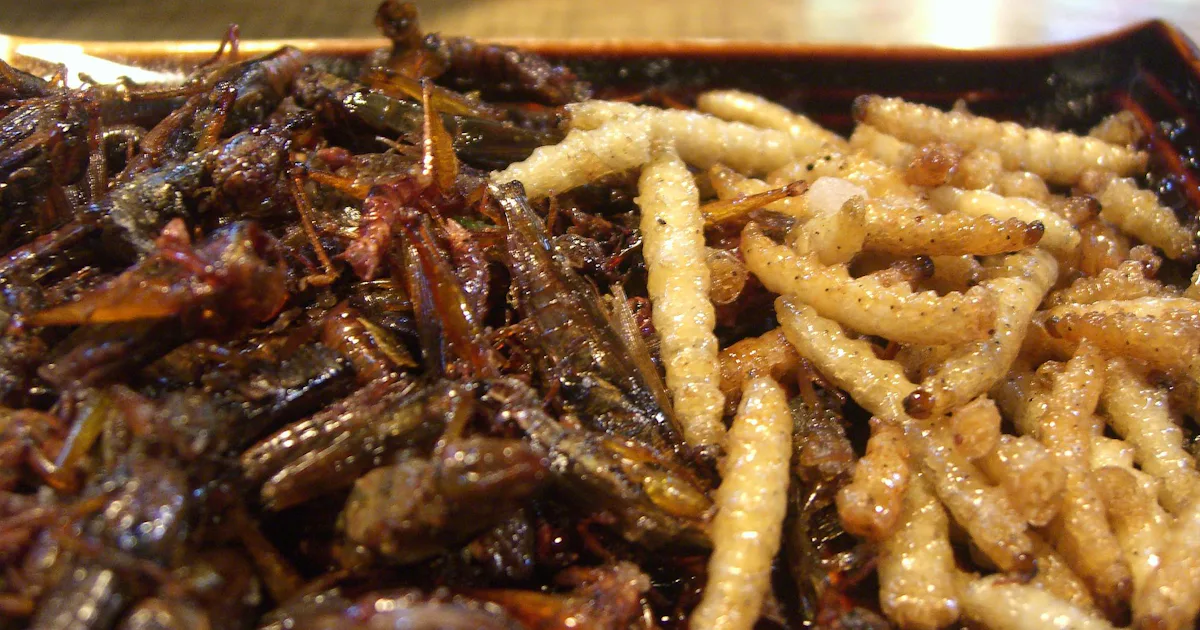 Crunch Bug Future Food: Here Are the Tastiest Ways to Cook Up Crunchy Critters