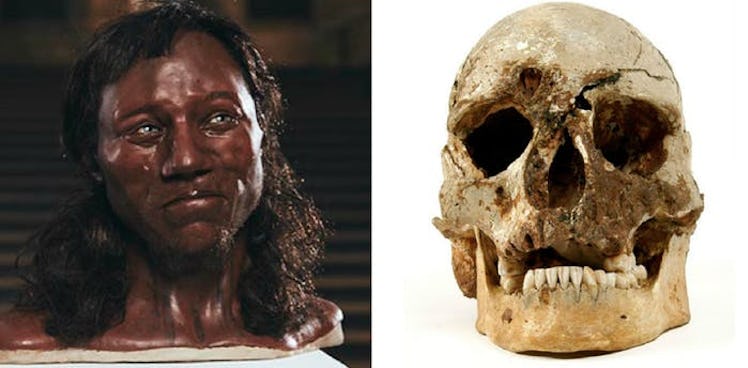 Cheddar man skull