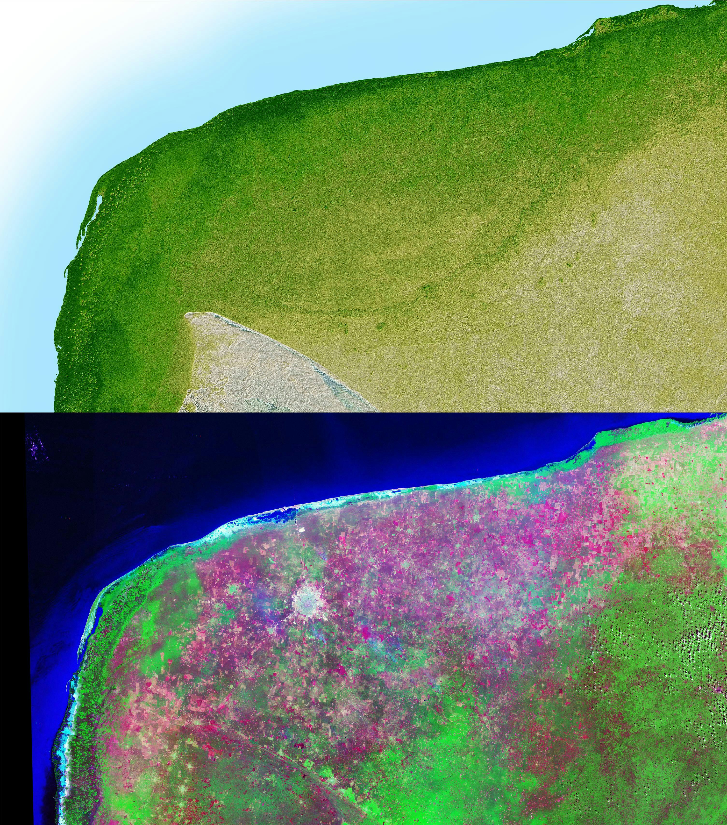 Chicxulub Crater Study Reveals The Terrible End Of The Dinosaurs