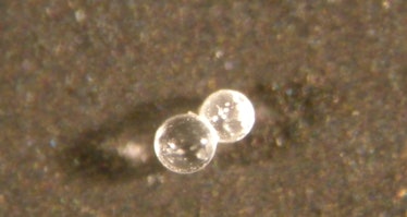 Tiny microtektites, which are produced during the explosive impact of a meteorite smashing into Eart...