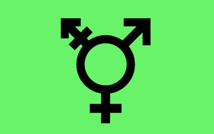 gender neutral flag