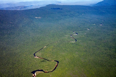 A snake in the landscape