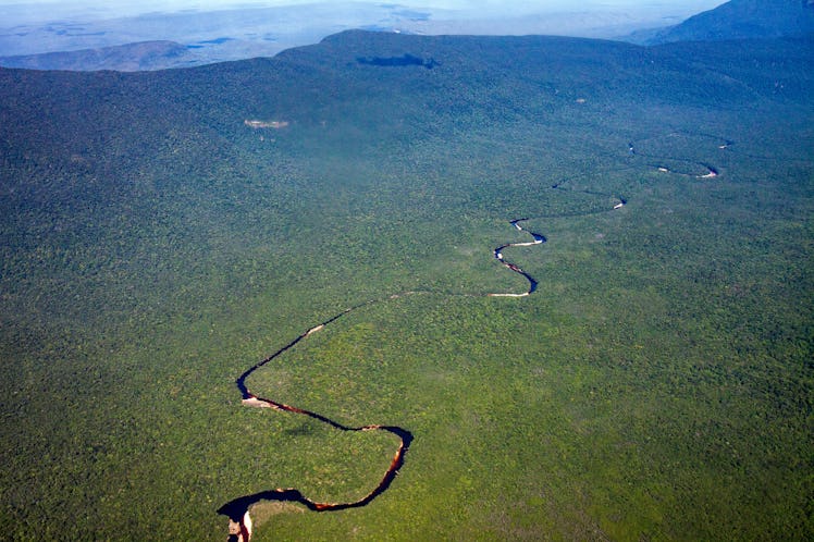 A snake in the landscape