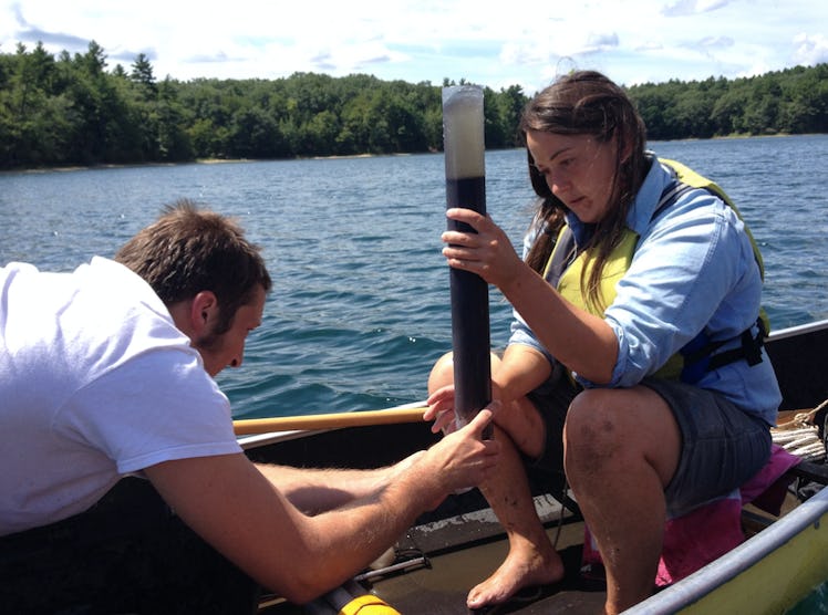 walden pond sediment core