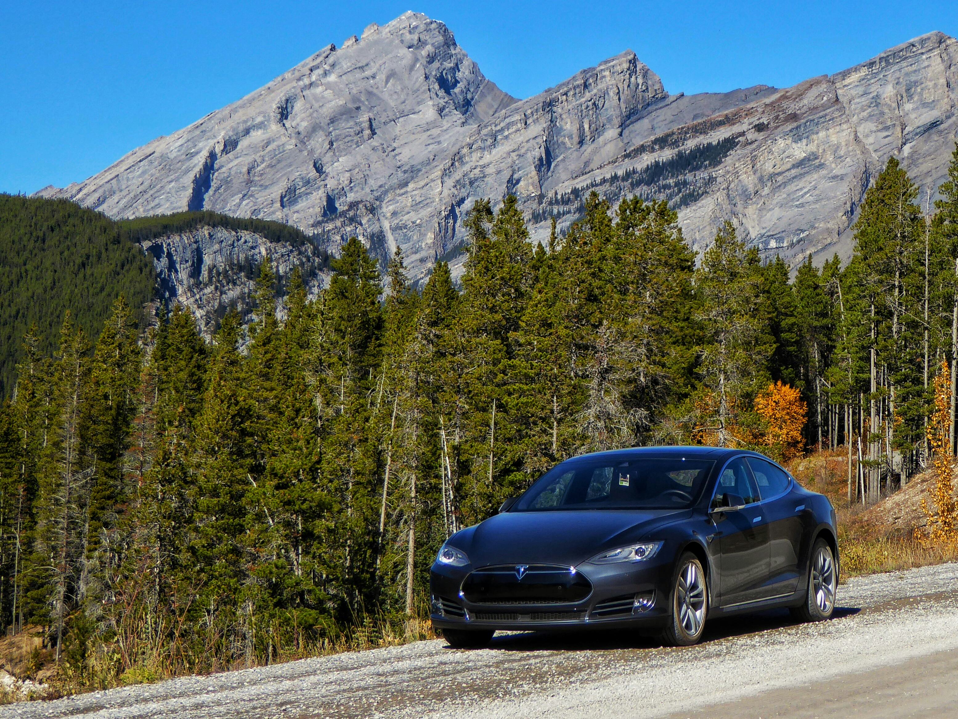 Tesla dune hot sale buggy