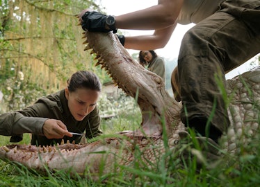 The first creature to threaten the team is an albino gator with shark's teeth.