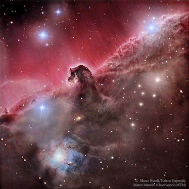 horsehead nebula