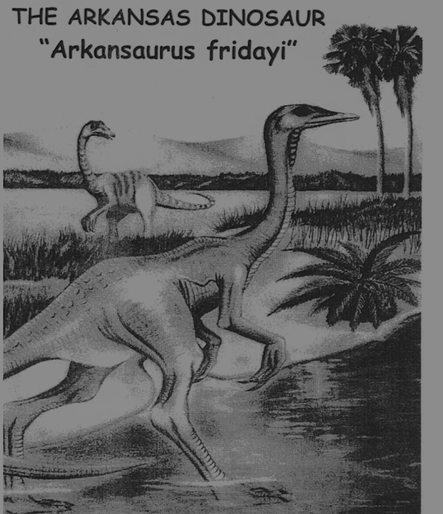 Arkansaurus Teen Pushes for the 'Arkansaurus' To Be Named State Dinosaur of Arkansas