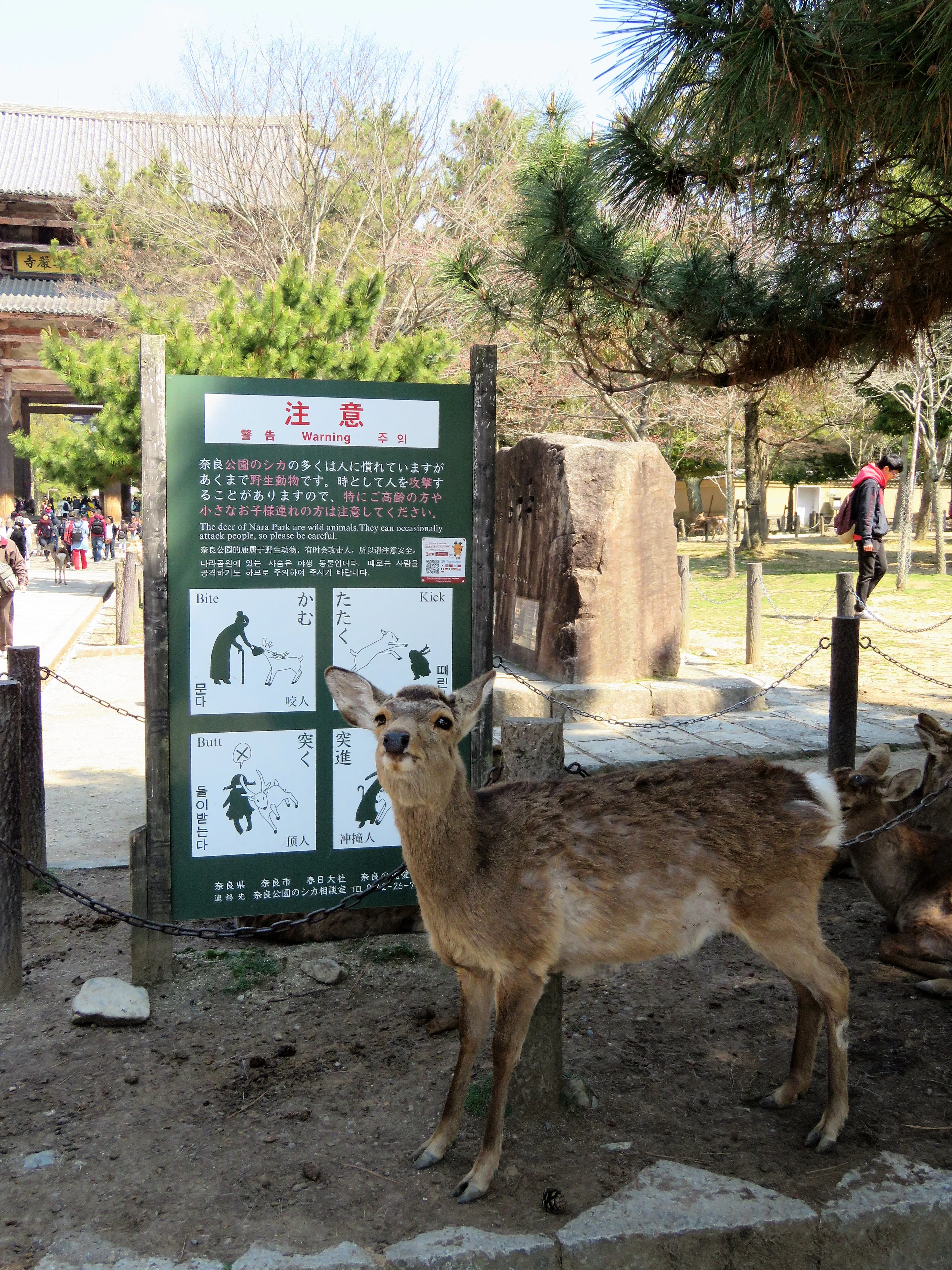 Japan Wants People to Use 