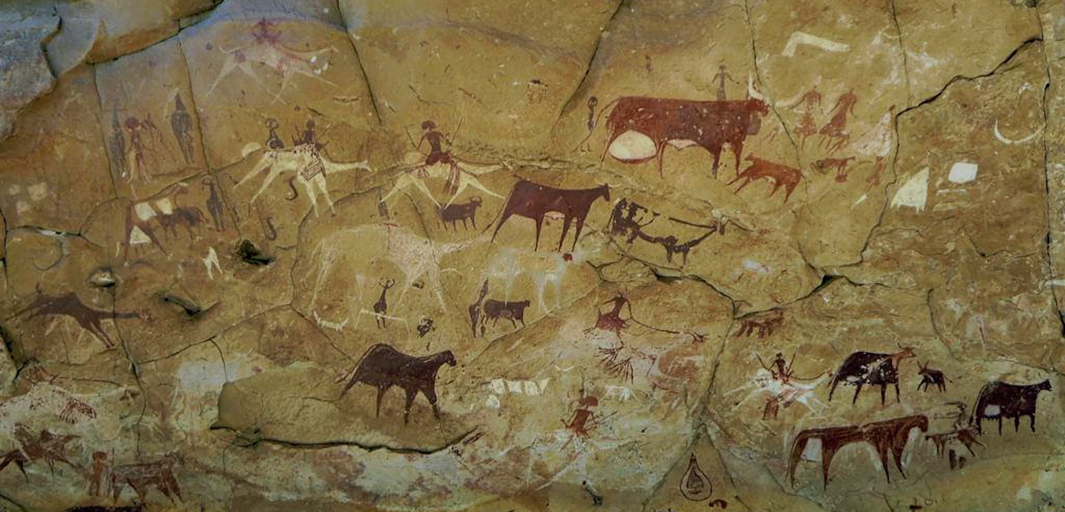The Story of Human Migration Out of Africa Just Got Rewritten