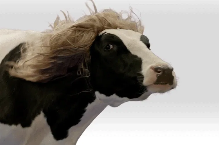 Internet of Things Day Delivers Connected Cows and Sour Cream