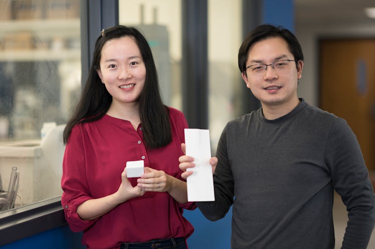 Tian Li (left) and Liangbing Hu (right) demonstrating their nanowood product.