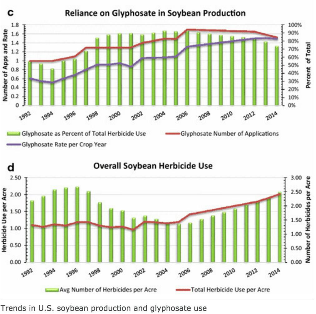 Why Monsanto's Glyphosate Is So Dangerous to Humans