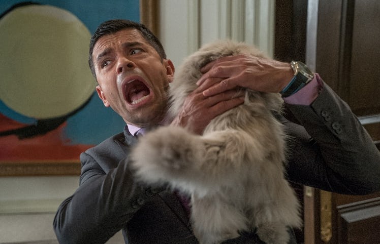 Mark Consuelos with a cat in a "Nine Lives" scene