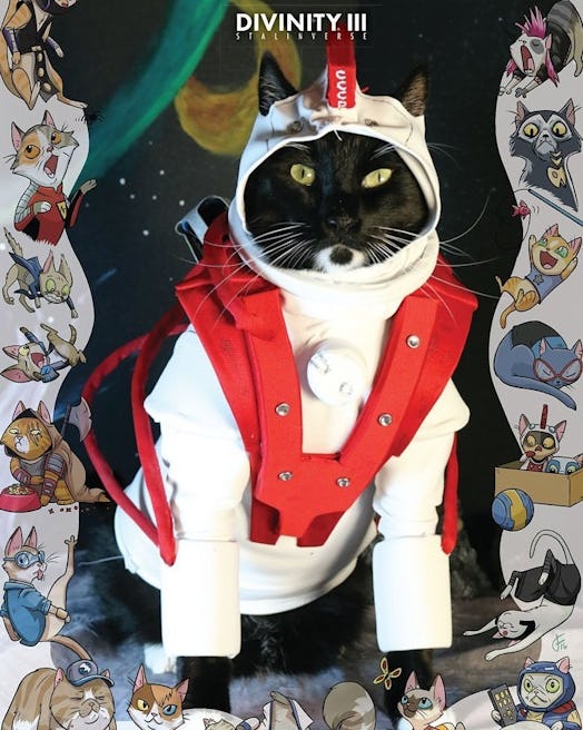 Cat Cosplay Variant Cover for Valiant Comic Divinity