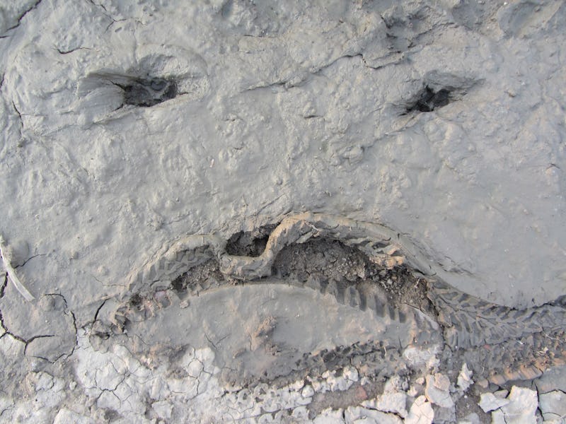 Human face drawn in mud
