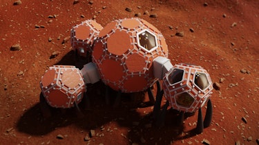 Mars Incubator's design.