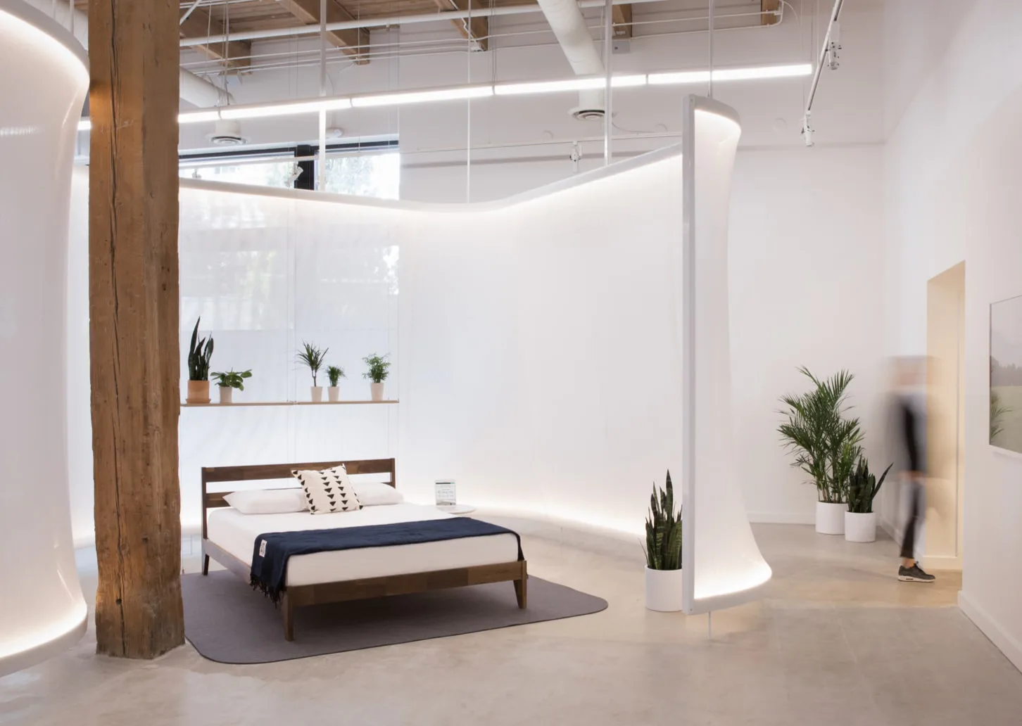 10 Eco-Friendly Products for Your Home