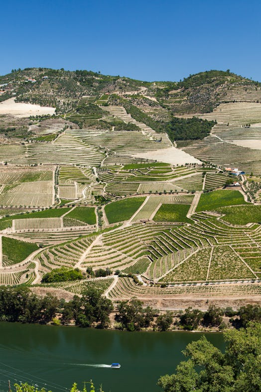 https://www.twin-loc.fr River Douro Valley Portugal - Vallée de la rivière Douro Portugal - Wine Vin...