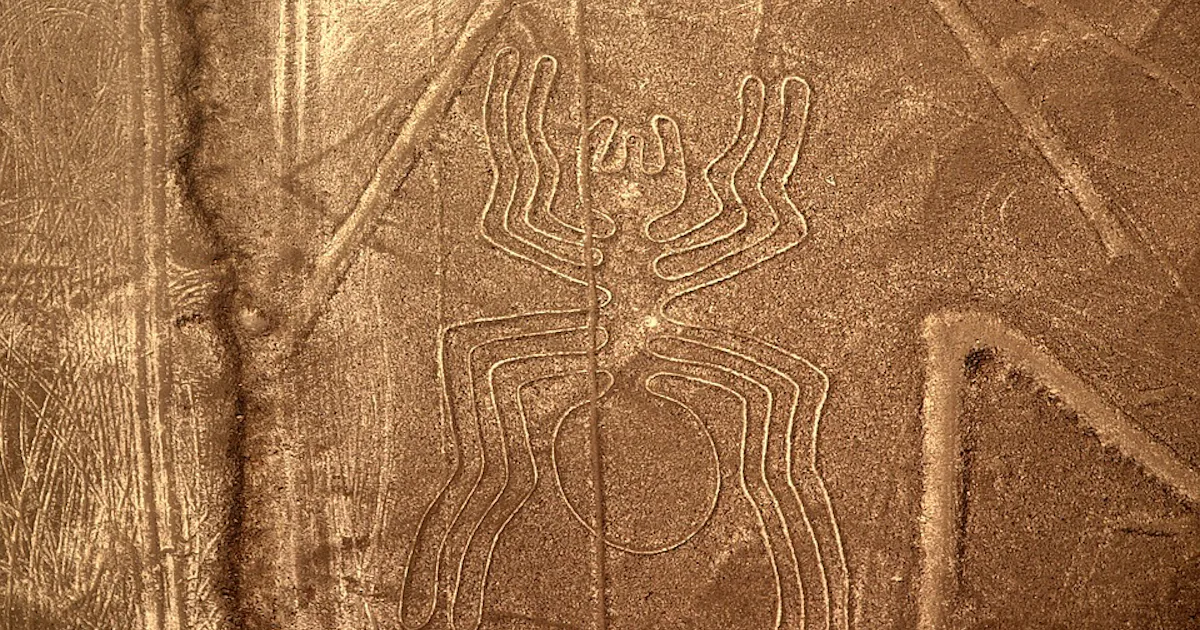 Nazca Insectoids Nazca lines mystery: Giant birds may help scientists finally solve it